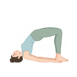 Bridge Pose