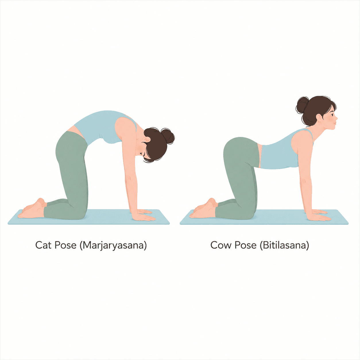 Cat Cow Pose