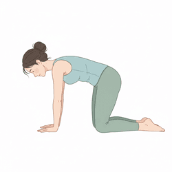Cat Pose