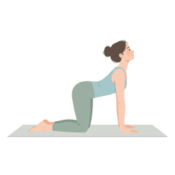 Cow Pose