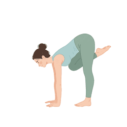 Crane Pose