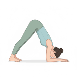 Dolphin Pose