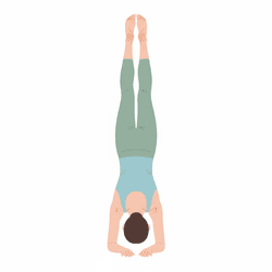 Forearm Stand