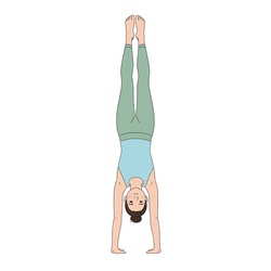 Handstand Prep