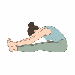 Seated Forward Fold