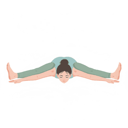 Tortoise Pose