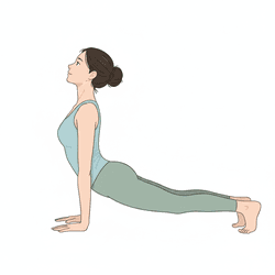 Upward Facing Dog