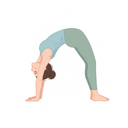 Wheel Pose
