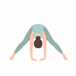 Wide Legged Forward Fold